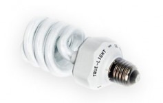 ampoule lumière du jour True-Light