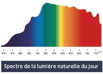 depression hivernale spectre des couleurs